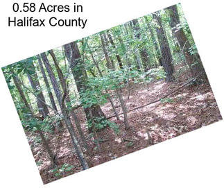 0.58 Acres in Halifax County