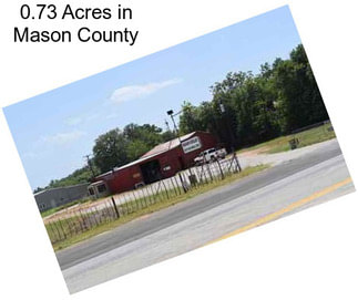 0.73 Acres in Mason County