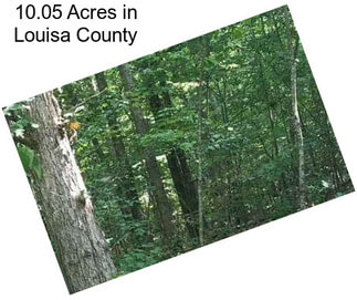 10.05 Acres in Louisa County