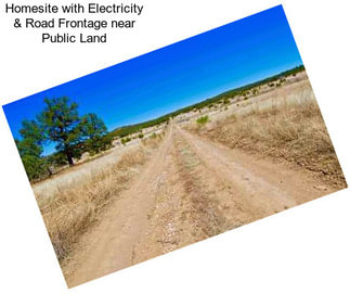 Homesite with Electricity & Road Frontage near Public Land