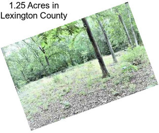 1.25 Acres in Lexington County