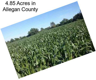 4.85 Acres in Allegan County