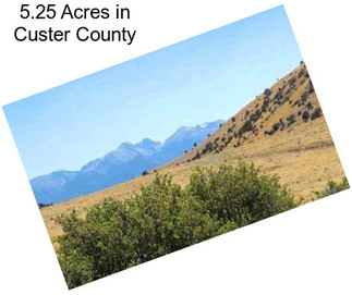 5.25 Acres in Custer County