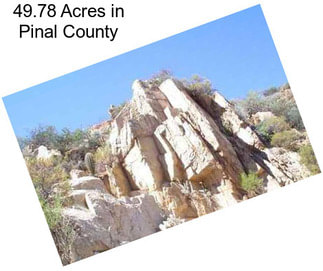 49.78 Acres in Pinal County