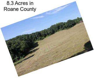 8.3 Acres in Roane County