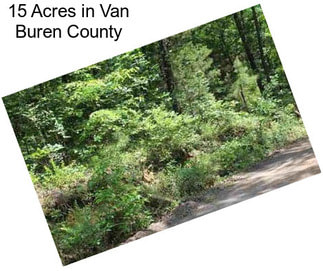 15 Acres in Van Buren County