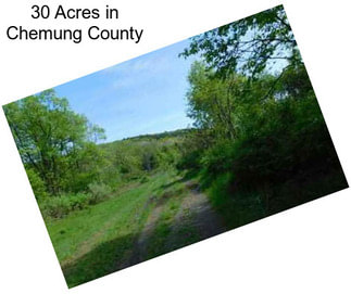 30 Acres in Chemung County