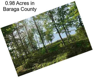 0.98 Acres in Baraga County