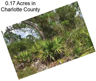 0.17 Acres in Charlotte County