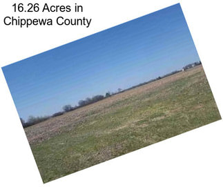 16.26 Acres in Chippewa County