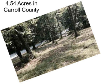 4.54 Acres in Carroll County