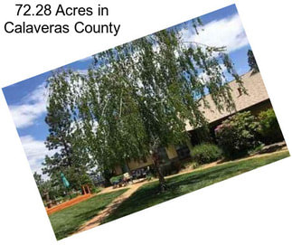 72.28 Acres in Calaveras County