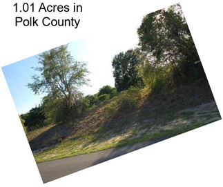 1.01 Acres in Polk County