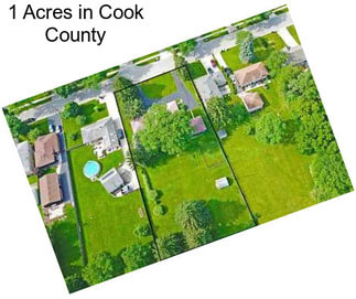 1 Acres in Cook County