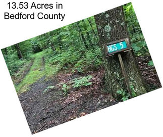 13.53 Acres in Bedford County