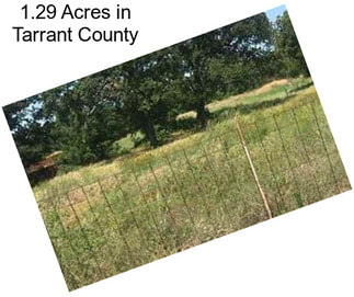 1.29 Acres in Tarrant County