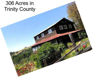 306 Acres in Trinity County