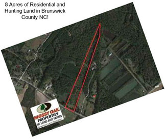 8 Acres of Residential and Hunting Land in Brunswick County NC!