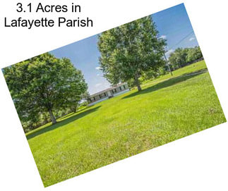 3.1 Acres in Lafayette Parish