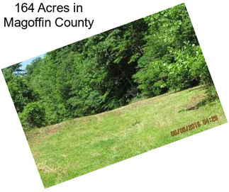 164 Acres in Magoffin County