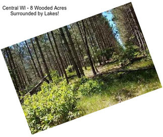 Central WI - 8 Wooded Acres Surrounded by Lakes!