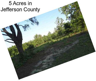 5 Acres in Jefferson County