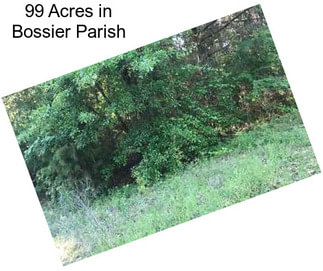 99 Acres in Bossier Parish