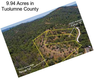 9.94 Acres in Tuolumne County