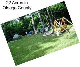 22 Acres in Otsego County