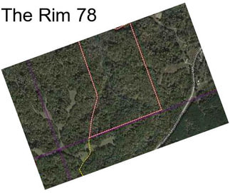 The Rim 78