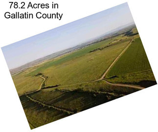 78.2 Acres in Gallatin County