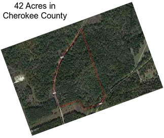 42 Acres in Cherokee County