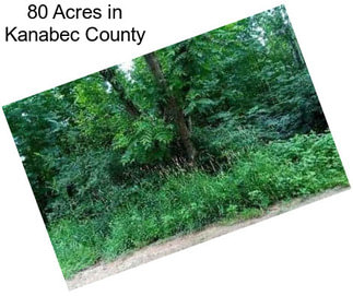 80 Acres in Kanabec County