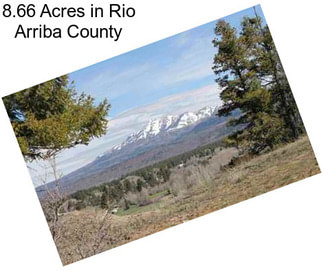 8.66 Acres in Rio Arriba County