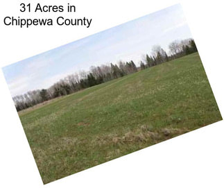 31 Acres in Chippewa County
