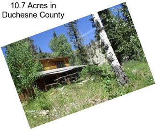 10.7 Acres in Duchesne County