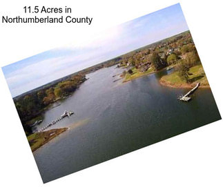 11.5 Acres in Northumberland County