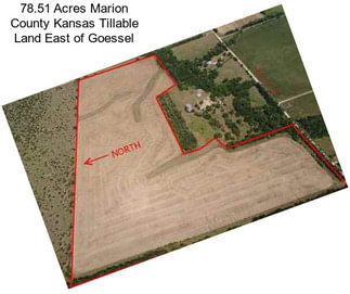 78.51 Acres Marion County Kansas Tillable Land East of Goessel