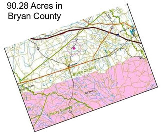 90.28 Acres in Bryan County