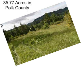 35.77 Acres in Polk County
