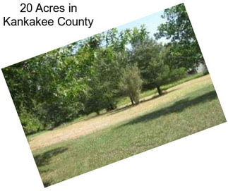 20 Acres in Kankakee County