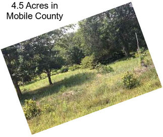 4.5 Acres in Mobile County