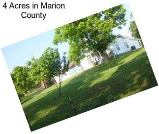 4 Acres in Marion County