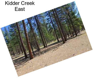 Kidder Creek East