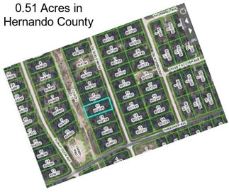 0.51 Acres in Hernando County