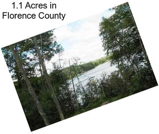 1.1 Acres in Florence County