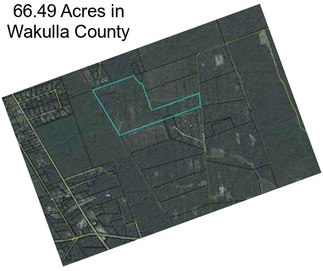 66.49 Acres in Wakulla County