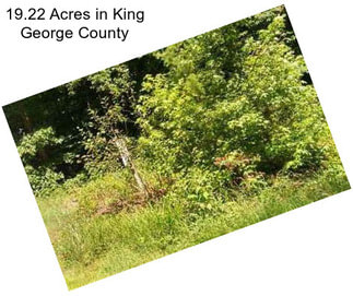 19.22 Acres in King George County
