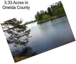 3.33 Acres in Oneida County