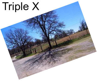 Triple X